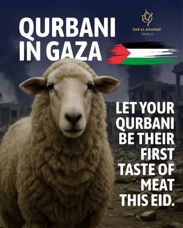 Qurbani in Gaza — let your Qurbani be their first taste of meat this Eid