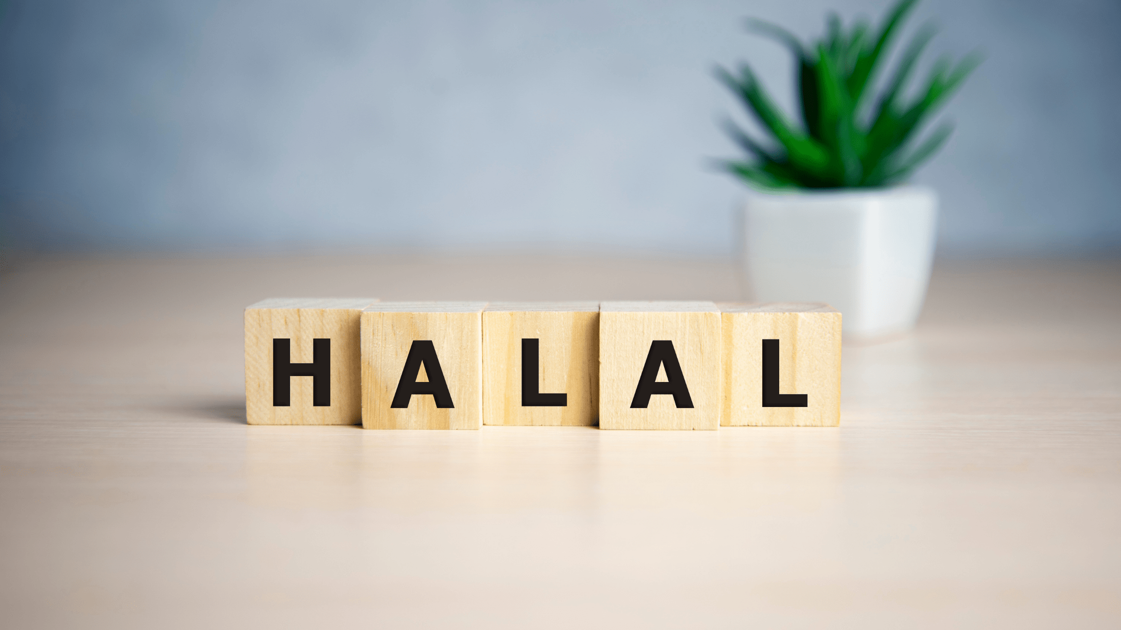 The Importance of Halal Certification for Muslim Travelers
